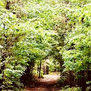 original-42732247-9E0B-4BAB-9D06-3A975BB