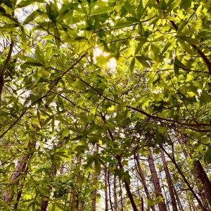 1ed07b87-3e85-4556-ac1a-1caed2a6f11a