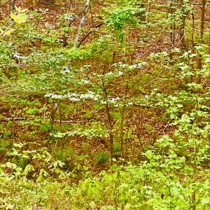 d6203c32-2cc2-47a3-bed7-98ba09c57e40