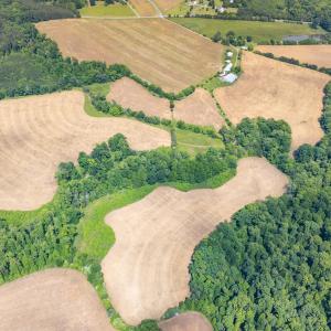 7941 Morrow Mill Road-Drone-21