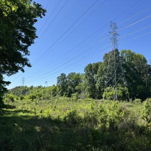 Large Electric Lines