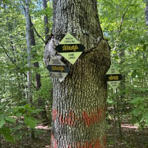 NC Wildlife Game Lands