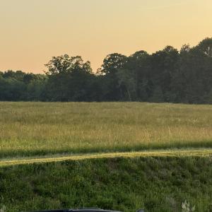 IMG_0172