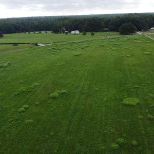 DJI_0198