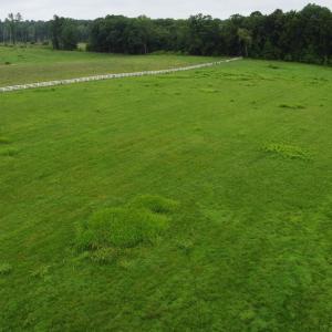 DJI_0213