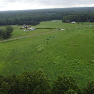 DJI_0206