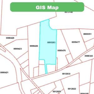 20250128231103519493000000-o