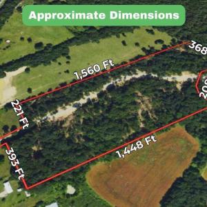 20250128231104442370000000-o