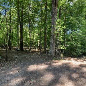 3-web-or-mls-8Y3A5271