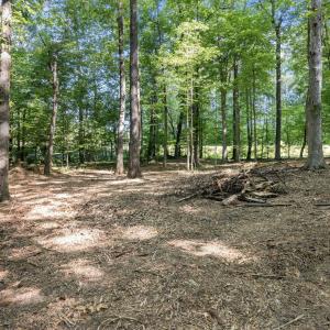 8-web-or-mls-8Y3A5276