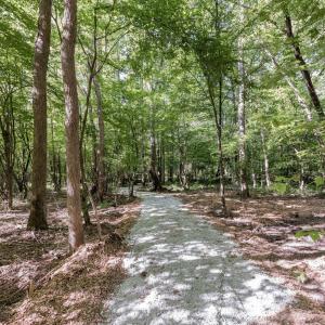 17-web-or-mls-8Y3A5285