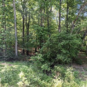 30-web-or-mls-8Y3A5298