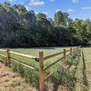 26-web-or-mls-8Y3A5294