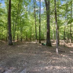 5-web-or-mls-8Y3A5273
