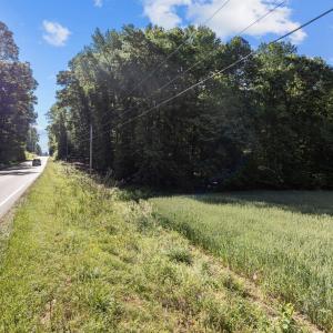 28-web-or-mls-8Y3A5296