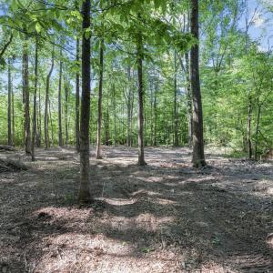 14-web-or-mls-8Y3A5282