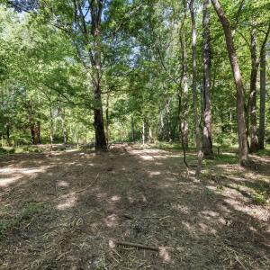 19-web-or-mls-8Y3A5287