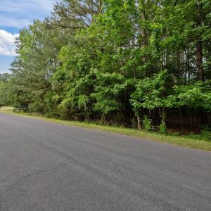 12-web-or-mls-P1061640