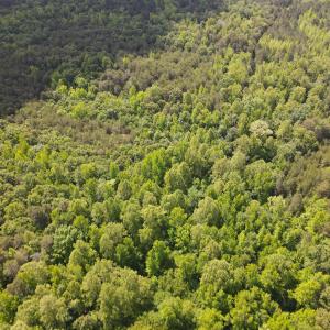 DJI_0474