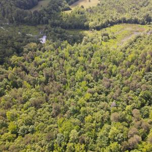DJI_0475