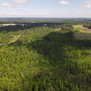 DJI_0477
