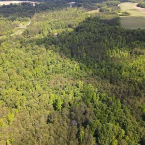 DJI_0478
