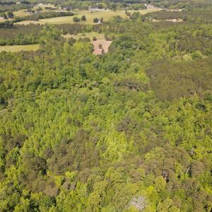 DJI_0479