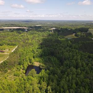 DJI_0481