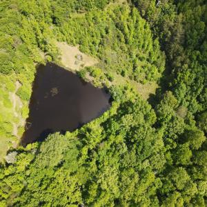 DJI_0482