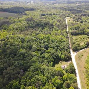 DJI_0485