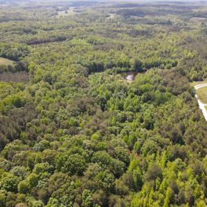 DJI_0490