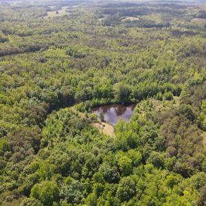 DJI_0491
