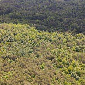 DJI_0476