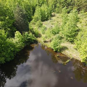 DJI_0484