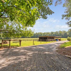 45-print-3123-brassfield-rd
