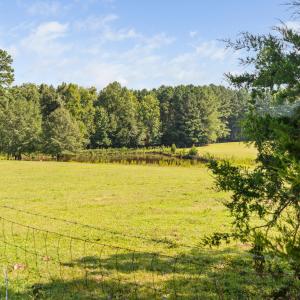 68-print-3123-brassfield-rd