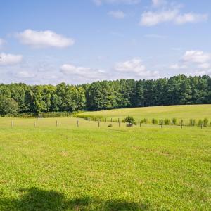 73-print-3123-brassfield-rd