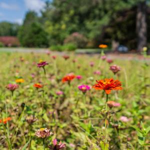 95-print-3123-brassfield-rd