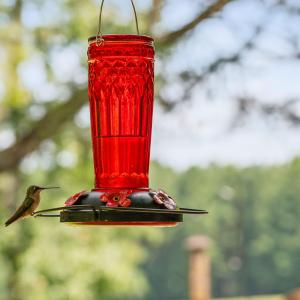 100-print-3123-brassfield-rd