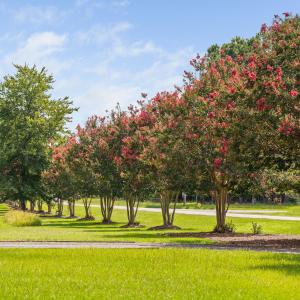 104-print-3123-brassfield-rd