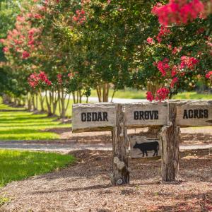 105-print-3123-brassfield-rd