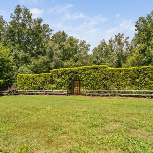 114-print-3123-brassfield-rd