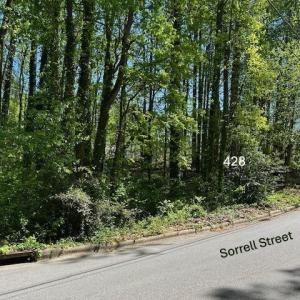 Sorrell