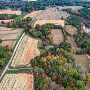 1 501 Barley Road Reidsville NC-large-00