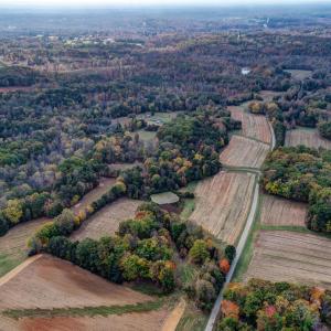 501 Barley Road Reidsville NC-large-003-