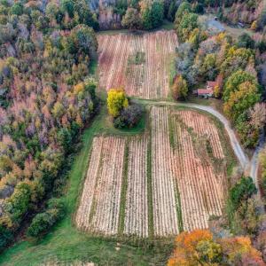 501 Barley Road Reidsville NC-large-008-
