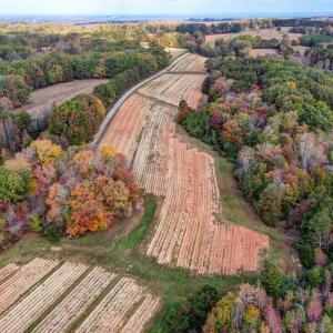 501 Barley Road Reidsville NC-large-009-