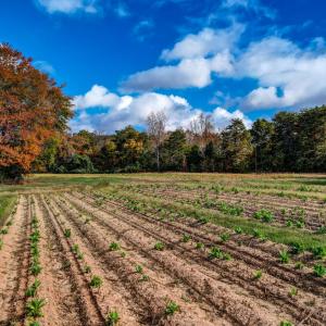 501 Barley Road Reidsville NC-large-010-