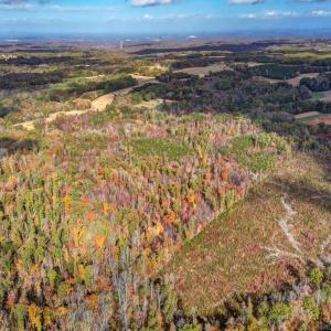 501 Barley Road Reidsville NC-large-011-