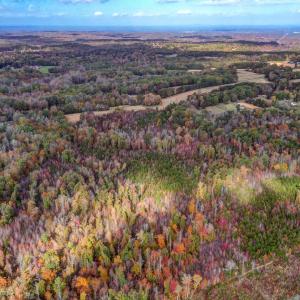 501 Barley Road Reidsville NC-large-012-